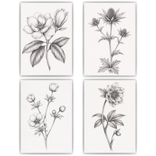 Laden Sie das Bild in den Galerie-Viewer, Botanische Poster 4er Set Schwarz Weiß Blumen Vintage Wandbilder
