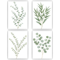 Eukalyptus Poster 4er Set Botanische Wandbilder Salbeigrün Modern