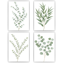 Laden Sie das Bild in den Galerie-Viewer, Eukalyptus Poster 4er Set Botanische Wandbilder Salbeigrün Modern
