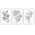 Botanische Poster 3er Set Salbeigrün Blumen Line Art Wandbilder