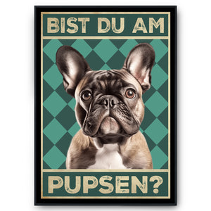 Französische Bulldogge - Bist du am Pupsen? Hunde Poster Badezimmer Gästebad Wandbild Klo Toilette Dekoration Lustiges Gäste-WC Bild DIN A4