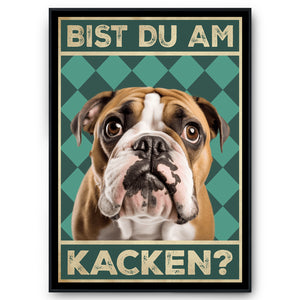 Englische Bulldogge - Bist du am Kacken? Hunde Poster Badezimmer Gästebad Wandbild Klo Toilette Dekoration Lustiges Gäste-WC Bild DIN A4