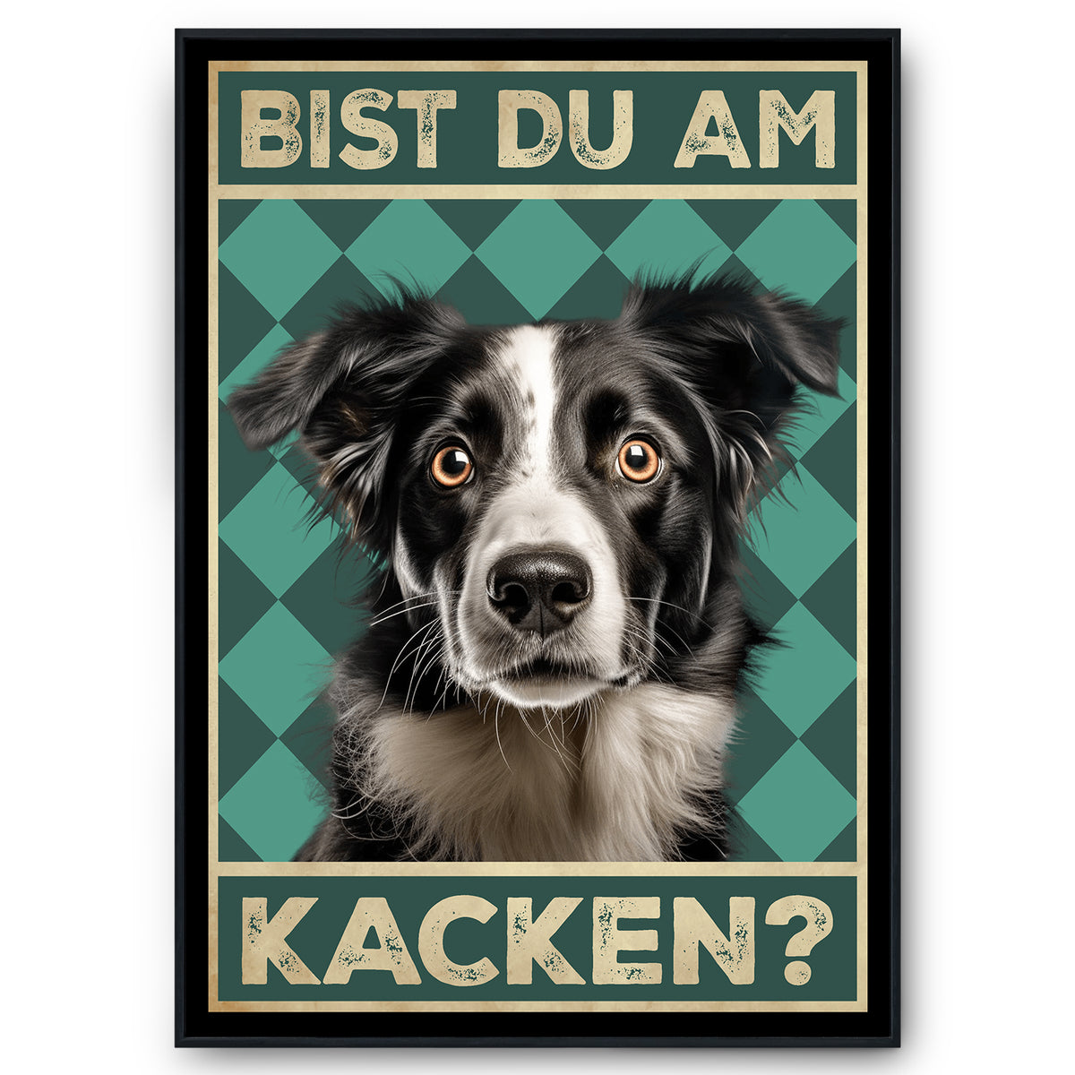 Border Collie - Bist du am Kacken? Hunde Poster Badezimmer Gästebad Wandbild Klo Toilette Dekoration Lustiges Gäste-WC Bild DIN A4