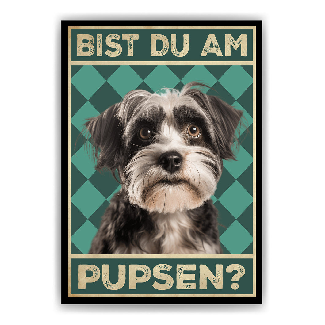 Havaneser - Bist du am Pupsen? Hunde Poster Badezimmer Gästebad Wandbild Klo Toilette Dekoration Lustiges Gäste-WC Bild DIN A4