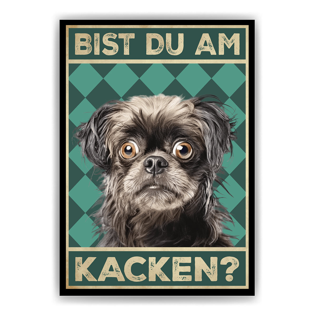 Bolonka Zwetna - Bist du am Kacken? Hunde Poster Badezimmer Gästebad Wandbild Klo Toilette Dekoration Lustiges Gäste-WC Bild DIN A4