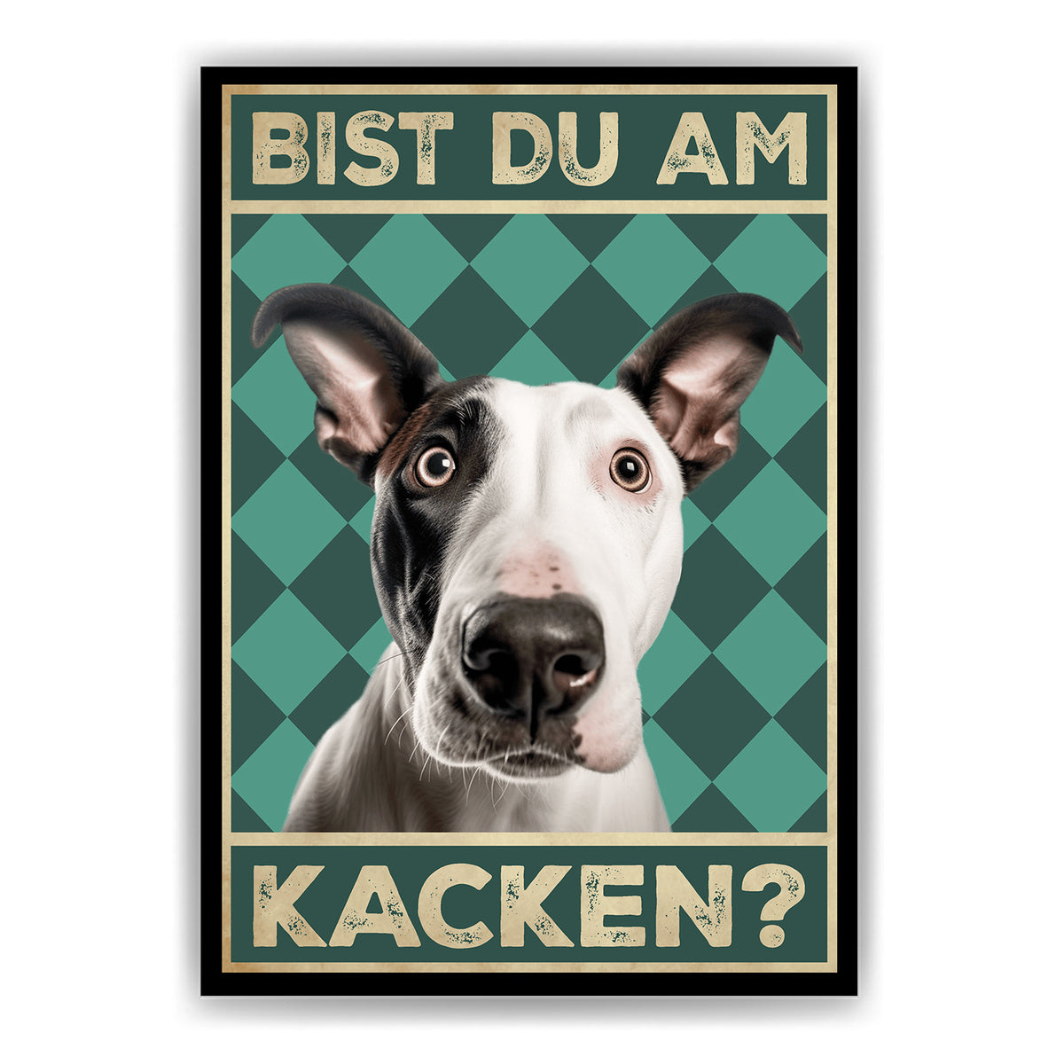 Bullterrier - Bist du am Kacken? Hunde Poster Badezimmer Gästebad Wandbild Klo Toilette Dekoration Lustiges Gäste-WC Bild DIN A4