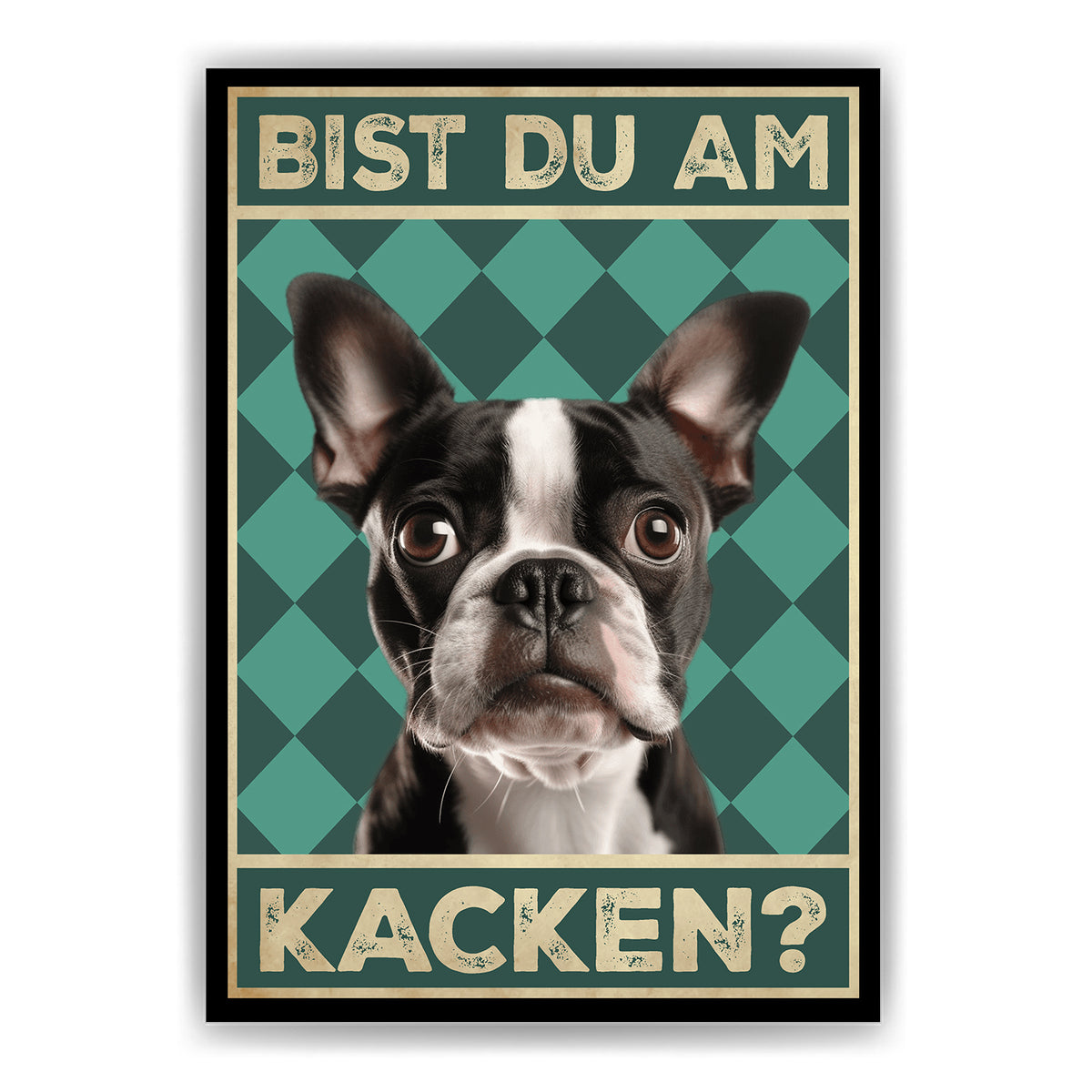 Boston Terrier - Bist du am Kacken? Hunde Poster Badezimmer Gästebad Wandbild Klo Toilette Dekoration Lustiges Gäste-WC Bild DIN A4