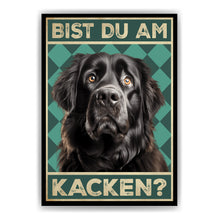 Laden Sie das Bild in den Galerie-Viewer, Neufundländer - Bist du am Kacken? Hunde Poster Badezimmer Gästebad Wandbild Klo Toilette Dekoration Lustiges Gäste-WC Bild DIN A4
