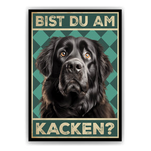 Neufundländer - Bist du am Kacken? Hunde Poster Badezimmer Gästebad Wandbild Klo Toilette Dekoration Lustiges Gäste-WC Bild DIN A4