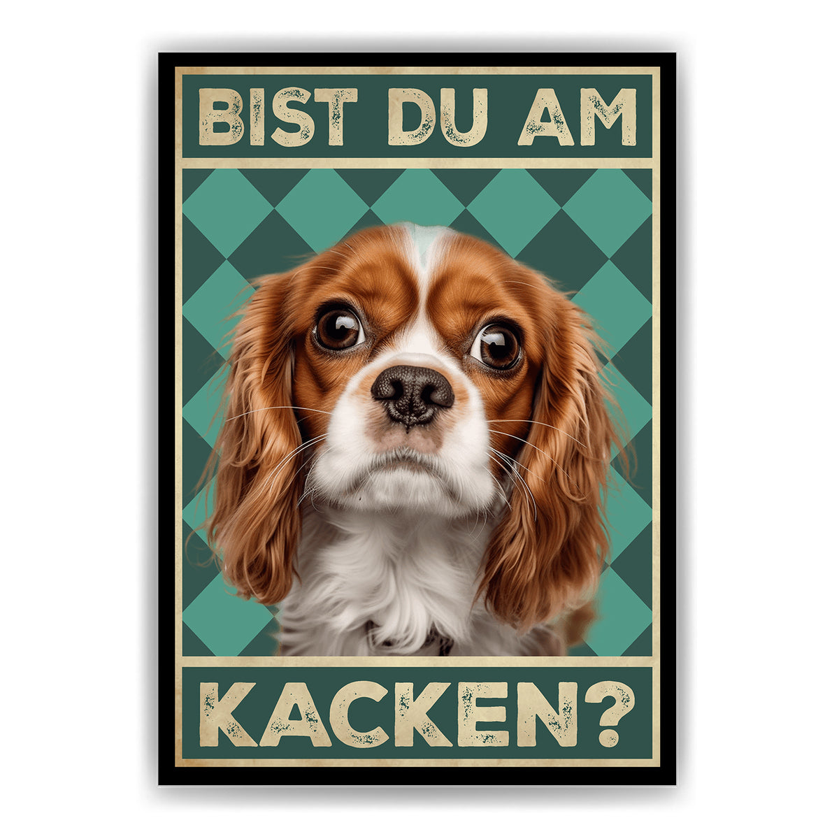 Cavalier King Charles Spaniel - Bist du am Kacken? Hunde Poster Badezimmer Gästebad Wandbild Klo Toilette Dekoration Lustiges Gäste-WC Bild DIN A4