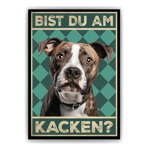 American Staffordshire Terrier - Bist du am Kacken? Hunde Poster Badezimmer Gästebad Wandbild Klo Toilette Dekoration Lustiges Gäste-WC Bild DIN A4