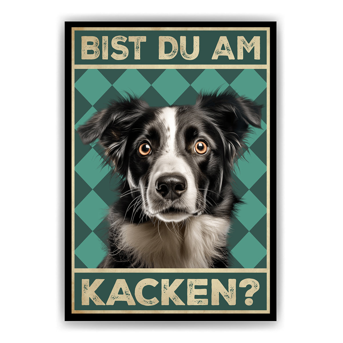 Border Collie - Bist du am Kacken? Hunde Poster Badezimmer Gästebad Wandbild Klo Toilette Dekoration Lustiges Gäste-WC Bild DIN A4