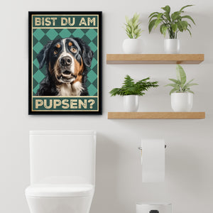 Berner Sennenhund - Bist du am Pupsen? Hunde Poster Badezimmer Gästebad Wandbild Klo Toilette Dekoration Lustiges Gäste-WC Bild DIN A4