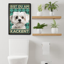 Laden Sie das Bild in den Galerie-Viewer, Malteser - Bist du am Kacken? Hunde Poster Badezimmer Gästebad Wandbild Klo Toilette Dekoration Lustiges Gäste-WC Bild DIN A4
