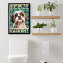 Laden Sie das Bild in den Galerie-Viewer, Shih Tzu - Bist du am Kacken? Hunde Poster Badezimmer Gästebad Wandbild Klo Toilette Dekoration Lustiges Gäste-WC Bild DIN A4
