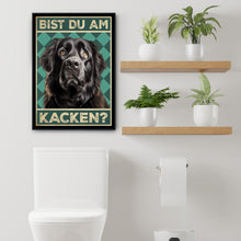 Laden Sie das Bild in den Galerie-Viewer, Neufundländer - Bist du am Kacken? Hunde Poster Badezimmer Gästebad Wandbild Klo Toilette Dekoration Lustiges Gäste-WC Bild DIN A4
