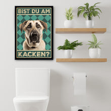 Laden Sie das Bild in den Galerie-Viewer, Kangal - Bist du am Kacken? Hunde Poster Badezimmer Gästebad Wandbild Klo Toilette Dekoration Lustiges Gäste-WC Bild DIN A4
