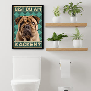 Shar Pei - Bist du am Kacken? Hunde Poster Badezimmer Gästebad Wandbild Klo Toilette Dekoration Lustiges Gäste-WC Bild DIN A4