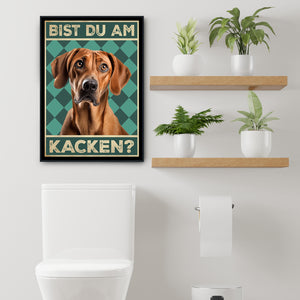 Rhodesian Ridgeback - Bist du am Kacken? Hunde Poster Badezimmer Gästebad Wandbild Klo Toilette Dekoration Lustiges Gäste-WC Bild DIN A4