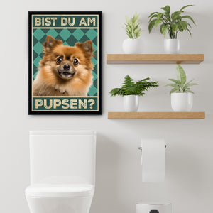 Zwergspitz - Bist du am Pupsen? Hunde Poster Badezimmer Gästebad Wandbild Klo Toilette Dekoration Lustiges Gäste-WC Bild DIN A4