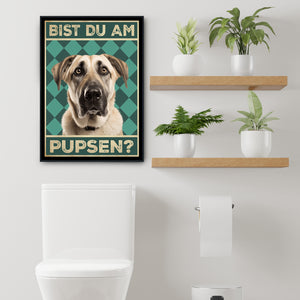 Kangal - Bist du am Pupsen? Hunde Poster Badezimmer Gästebad Wandbild Klo Toilette Dekoration Lustiges Gäste-WC Bild DIN A4