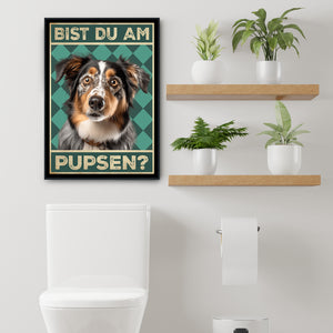 Australian Shepherd - Bist du am Pupsen? Hunde Poster Badezimmer Gästebad Wandbild Klo Toilette Dekoration Lustiges Gäste-WC Bild DIN A4