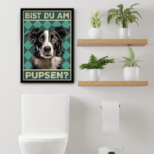 Laden Sie das Bild in den Galerie-Viewer, Border Collie - Bist du am Pupsen? Hunde Poster Badezimmer Gästebad Wandbild Klo Toilette Dekoration Lustiges Gäste-WC Bild DIN A4
