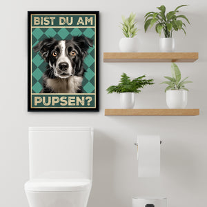 Border Collie - Bist du am Pupsen? Hunde Poster Badezimmer Gästebad Wandbild Klo Toilette Dekoration Lustiges Gäste-WC Bild DIN A4