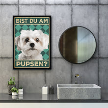 Laden Sie das Bild in den Galerie-Viewer, Malteser - Bist du am Pupsen? Hunde Poster Badezimmer Gästebad Wandbild Klo Toilette Dekoration Lustiges Gäste-WC Bild DIN A4
