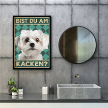 Laden Sie das Bild in den Galerie-Viewer, Malteser - Bist du am Kacken? Hunde Poster Badezimmer Gästebad Wandbild Klo Toilette Dekoration Lustiges Gäste-WC Bild DIN A4
