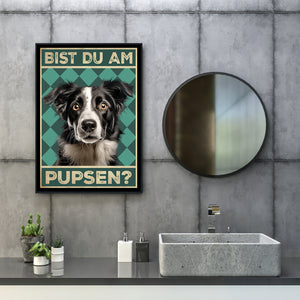 Border Collie - Bist du am Pupsen? Hunde Poster Badezimmer Gästebad Wandbild Klo Toilette Dekoration Lustiges Gäste-WC Bild DIN A4