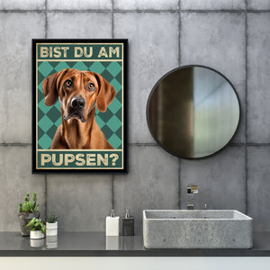 Rhodesian Ridgeback - Bist du am Pupsen? Hunde Poster Badezimmer Gästebad Wandbild Klo Toilette Dekoration Lustiges Gäste-WC Bild DIN A4