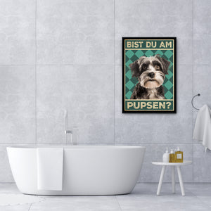 Havaneser - Bist du am Pupsen? Hunde Poster Badezimmer Gästebad Wandbild Klo Toilette Dekoration Lustiges Gäste-WC Bild DIN A4