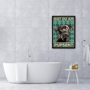 Cane Corso - Bist du am Pupsen? Hunde Poster Badezimmer Gästebad Wandbild Klo Toilette Dekoration Lustiges Gäste-WC Bild DIN A4