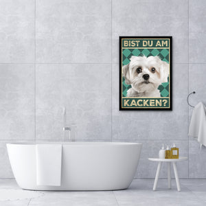 Malteser - Bist du am Kacken? Hunde Poster Badezimmer Gästebad Wandbild Klo Toilette Dekoration Lustiges Gäste-WC Bild DIN A4