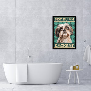 Shih Tzu - Bist du am Kacken? Hunde Poster Badezimmer Gästebad Wandbild Klo Toilette Dekoration Lustiges Gäste-WC Bild DIN A4