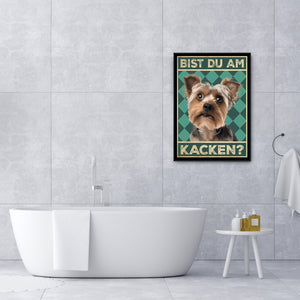 Yorkshire Terrier - Bist du am Kacken? Hunde Poster Badezimmer Gästebad Wandbild Klo Toilette Dekoration Lustiges Gäste-WC Bild DIN A4