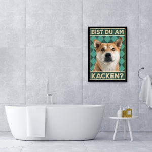 Akita Inu - Bist du am Kacken? Hunde Poster Badezimmer Gästebad Wandbild Klo Toilette Dekoration Lustiges Gäste-WC Bild DIN A4