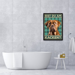 Bordeaux Dogge - Bist du am Kacken? Hunde Poster Badezimmer Gästebad Wandbild Klo Toilette Dekoration Lustiges Gäste-WC Bild DIN A4