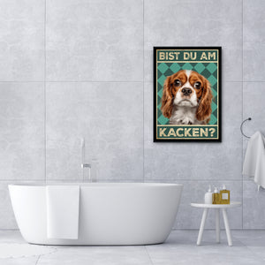 Cavalier King Charles Spaniel - Bist du am Kacken? Hunde Poster Badezimmer Gästebad Wandbild Klo Toilette Dekoration Lustiges Gäste-WC Bild DIN A4