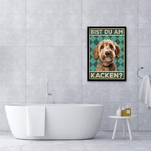 Goldendoodle - Bist du am Kacken? Hunde Poster Badezimmer Gästebad Wandbild Klo Toilette Dekoration Lustiges Gäste-WC Bild DIN A4