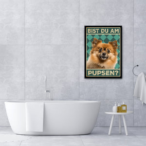 Zwergspitz - Bist du am Pupsen? Hunde Poster Badezimmer Gästebad Wandbild Klo Toilette Dekoration Lustiges Gäste-WC Bild DIN A4