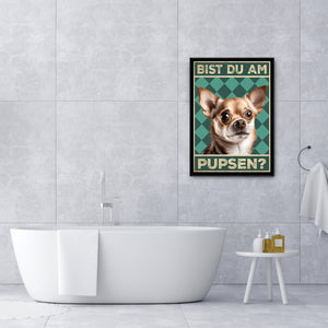 Chihuahua - Bist du am Pupsen? Hunde Poster Badezimmer Gästebad Wandbild Klo Toilette Dekoration Lustiges Gäste-WC Bild DIN A4
