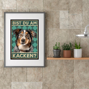 Australian Shepherd - Bist du am Kacken? Hunde Poster Badezimmer Gästebad Wandbild Klo Toilette Dekoration Lustiges Gäste-WC Bild DIN A4