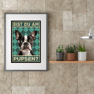 Boston Terrier - Bist du am Pupsen? Hunde Poster Badezimmer Gästebad Wandbild Klo Toilette Dekoration Lustiges Gäste-WC Bild DIN A4