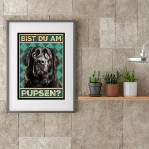 Neufundländer - Bist du am Pupsen? Hunde Poster Badezimmer Gästebad Wandbild Klo Toilette Dekoration Lustiges Gäste-WC Bild DIN A4
