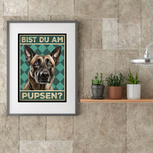 Laden Sie das Bild in den Galerie-Viewer, Malinois - Bist du am Pupsen? Hunde Poster Badezimmer Gästebad Wandbild Klo Toilette Dekoration Lustiges Gäste-WC Bild DIN A4
