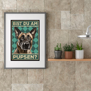 Malinois - Bist du am Pupsen? Hunde Poster Badezimmer Gästebad Wandbild Klo Toilette Dekoration Lustiges Gäste-WC Bild DIN A4