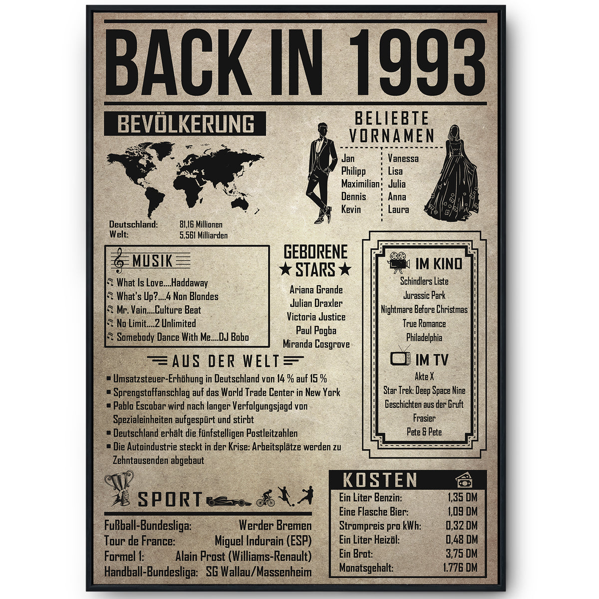 33. Geburtstag Geschenkidee personalisierbar | Poster Jahrgang 1993 Geschenk | Back in 1993 Rückblick