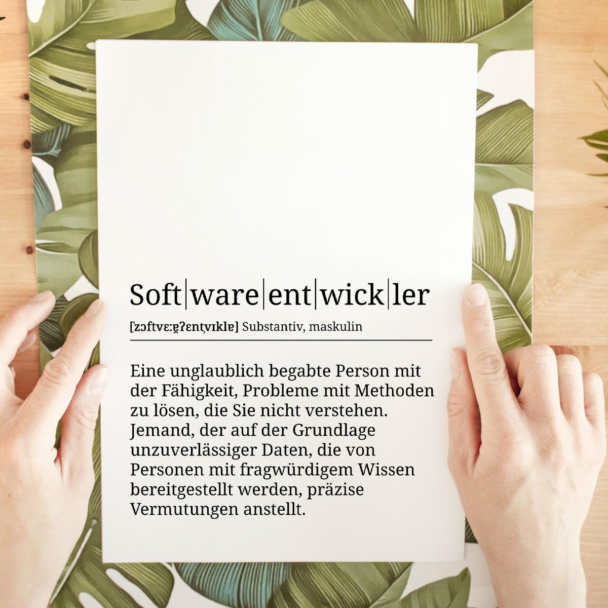 Softwareentwickler Poster Definition Kunstdruck Wandbild Geschenk